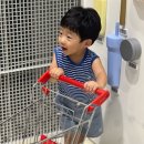 굿하우스지역아동센터 | 광명시영유아과학체험센터 지각 사태! 23개월 아기 자동차 영상에 갇힌 썰 (ft. 주차 꿀팁)