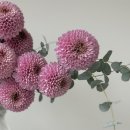 엠에스스튜디오 이미지