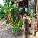 중부-현장-중부-888 | 오키나와 북부 카페 :: 아열대찻집 / 아넷타이차야 가장 멋진 뷰에서!