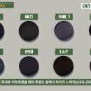 으뜸50안경 전주평화모악점 이미지