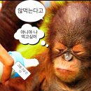 통큰막창 | [대구막창] 현풍맛집 "통큰대구막창 테크노점" 다녀온 후기