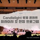 원물곡마을회관 | 부산 캔들라이트 히사이시조 지브리 ost 콘서트 부산문화회관 챔버홀 C구역 후기