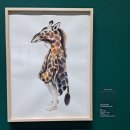 11650-17-181-12 | 대전시립미술관 열린수장고 전시: DMA 소장품 하이라이트 2026, 도로시의 원더링