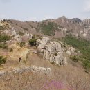 동문목장 이미지