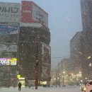 12월 삿포로 4박 5일 여행 2일차 코스: 비에이 투어(인디고 트래블) 내돈내산 후기, 꿀팁, 맛집 리뷰