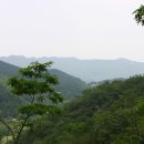 회성농장 Daum카페