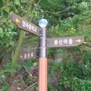 창곡길 Daum카페