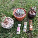 꽃담민박 이미지