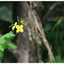 억수농장 이미지