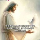 펌글 / 종교개혁의 완성자 이미지