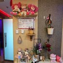 도토리 노래연습장 이미지