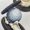 환미술학원 이미지