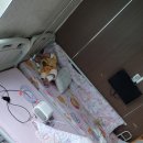 대우아동병원 이미지