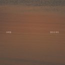 (주)엄마의 바다