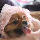 엘리하우스 이미지