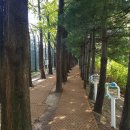 한국육영학교입구 네이버블로그