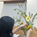 플로피아 이미지