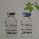 천진한의원 이미지