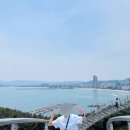 국내 여름 여행지 추천 | 포항 스페이스워크 주차 꿀팁, 위치, 코스 추천, 주말 방문 후기