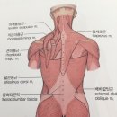 짐퍼스트올림픽공원