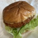 까페나무 이미지