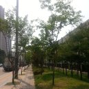 심곡고가교 이미지