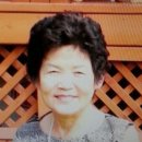 시조사