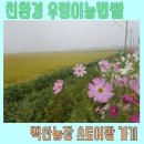 블로그만들기(중급반) 이미지