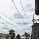 검은모래민박 이미지