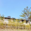 용일농장 | <상하농원 파머스 빌리지> 🐑