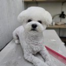 뽀독뽀독 이미지