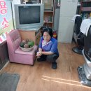 장세영농장 이미지