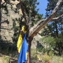 (주)동서자동차 이미지