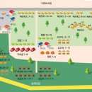 해인캠핑장 이미지