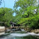 태호석 | 사자림 + 한산사 + 치리산탕 _ 고전 정원과 수향 도시의 정수를 하루에 담은 쑤저우 대표 당일 투어 후기