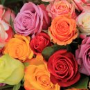 로즈데이 이미지