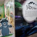 주왕산공원 탐방안내소 이미지