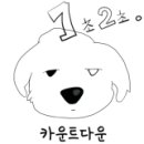 애견호텔 나무야 이미지