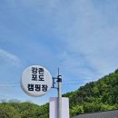 강촌포도팬션&캠핑장 이미지