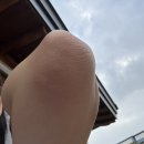 현풍로 | 대구 근교 현풍 한옥 카페 고양이가 있는 카페 유아 동반 가능한 카페 스몰버드 내돈내산 후기