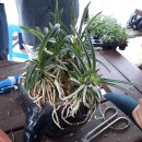 우송농장 이미지