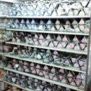 수정김밥 이미지