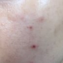 참피부과의원 이미지