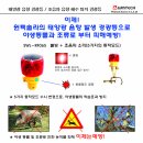 윈텍 이미지