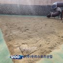 서울연가초등학교 이미지