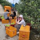 중호농장 이미지