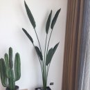 여주-0704 이미지