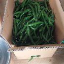 상모농장 이미지