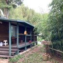 숲의하루 이미지