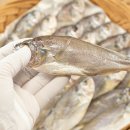 주식회사 군산박대 이미지
